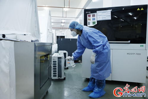 守滬者聯(lián)盟丨上海建成'火眼'實驗室，日檢測通量可達10萬單管